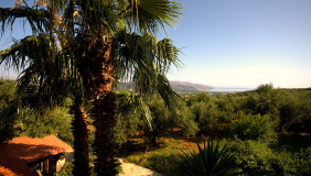 452Eliamorningview93a5mb_exterior