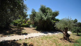 5ELIAEXTERIOR29mbsparoad_exterior