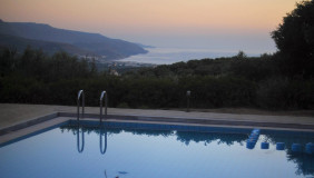 1252PoolintheAfternoonbirdstime9a23mbcuten_pool